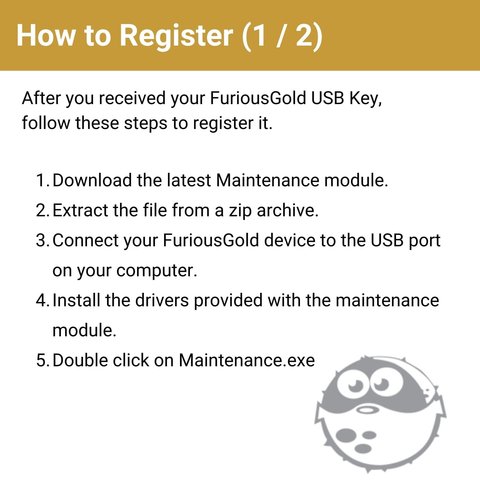 Furious Gold USB Key з актививованими Pack 1, 2, 3, 4, 5, 6, 7, 8,11 Прев'ю 3
